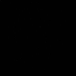 Meet your Posher, Gianna